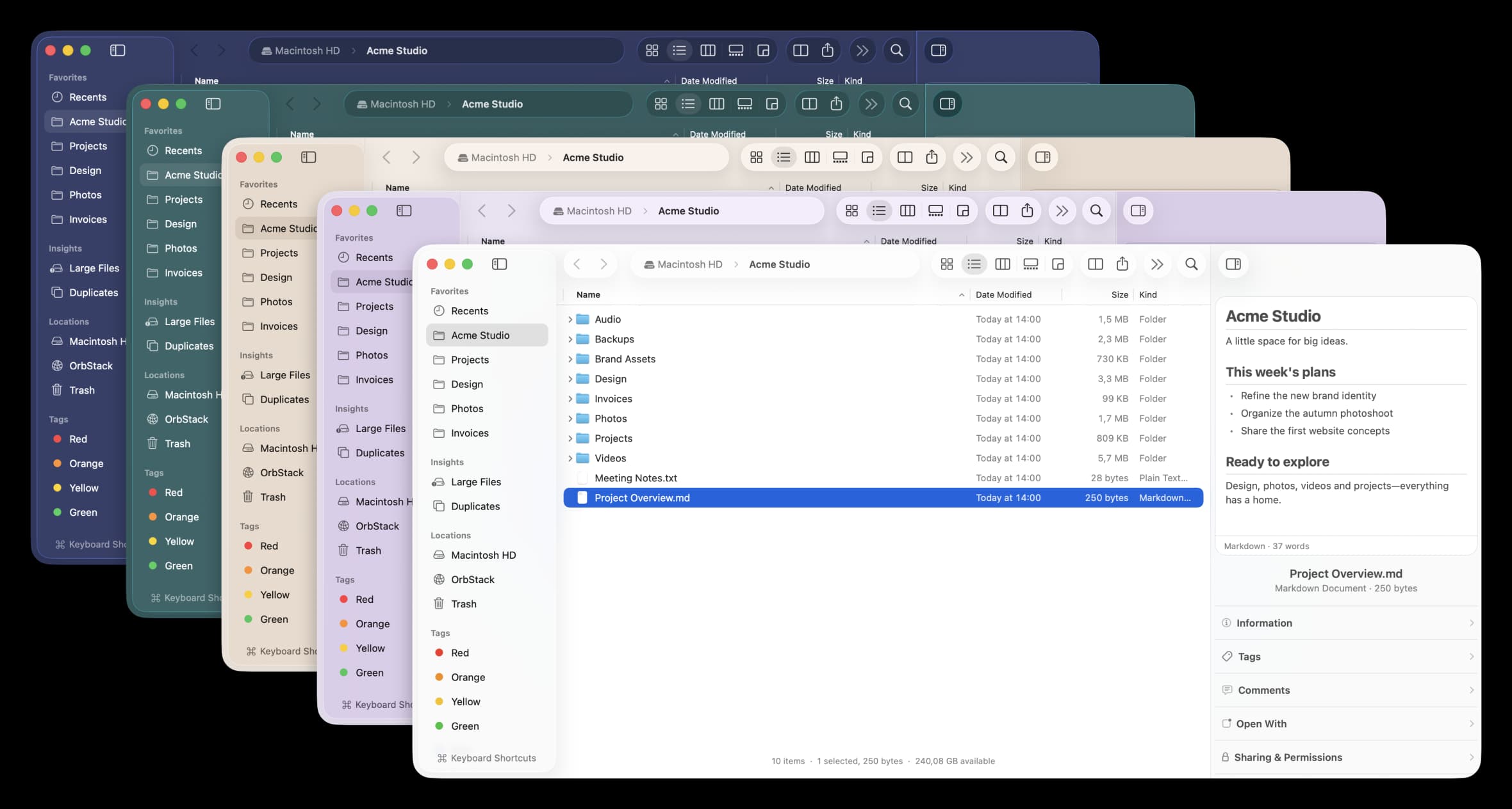 Strata Files screenshot