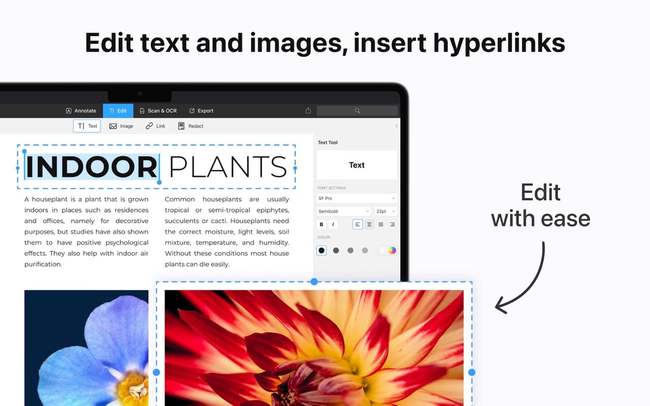 PDF Expert screenshot